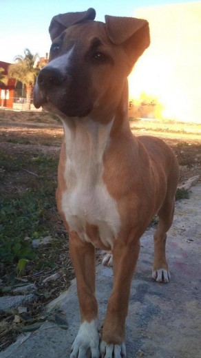 Gina. 3 meses Gina. 3 meses