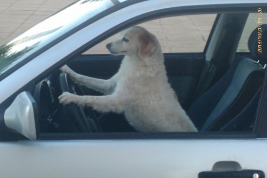 como cualquier finde ellla al volante