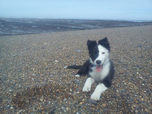 3 MESES, EN LA PLAYA!