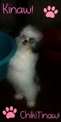 Aqui en esta foto tengo 5 meses pero ahora en la actualidad 2013 acabo de cumplir 2 años Aqui en esta foto tengo 5 meses pero ahora en la actualidad 2013 acabo de cumplir 2 años