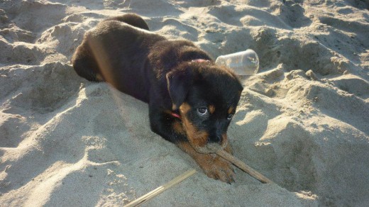 en la playa, 2 meses de vida