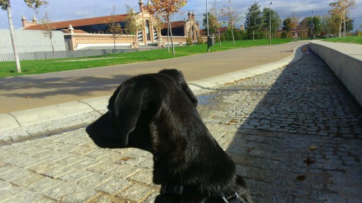 Frente al Matadero