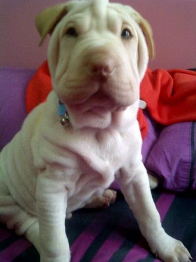 este mi preciosoo bebeee este mi preciosoo bebeee