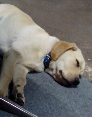 Durmiendoooo