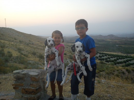 mis sobrinos con neva y nala