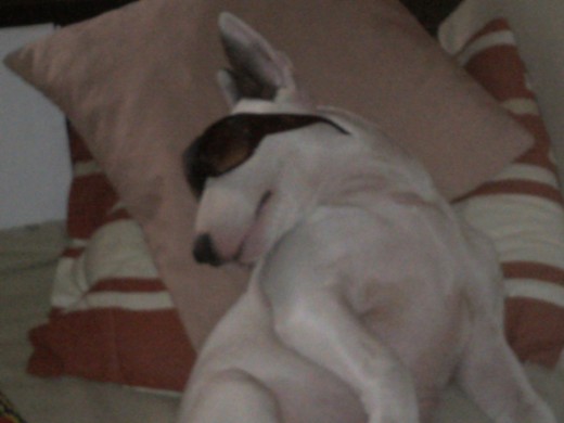 Aqui en relax Aqui en relax