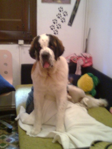 BUENO AQUI TENIA UNOS OCHO MESES !!! LA PEQUÑA JJJJ BUENO AQUI TENIA UNOS OCHO MESES !!! LA PEQUÑA JJJJ