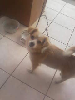 que linda!!! que linda!!!