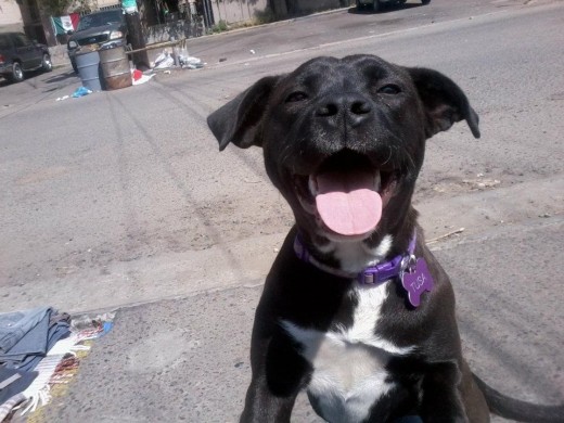 Sonriendo!! Sonriendo!!