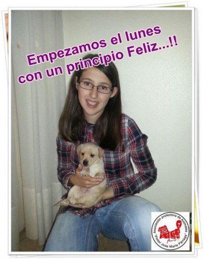 Este es mi perro conmigo el día en el que lo adopte . Este es mi perro conmigo el día en el que lo adopte .
