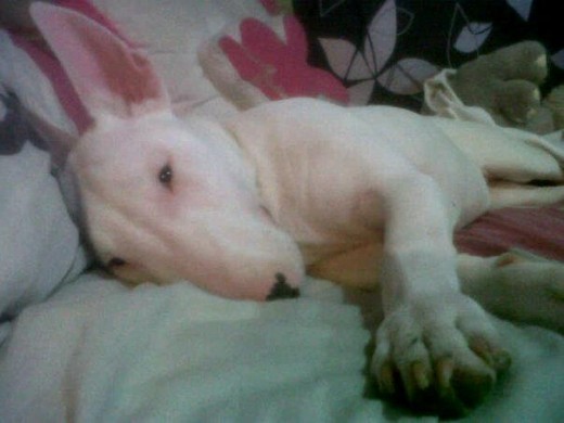 Tumbadita en la cama con 4 meses