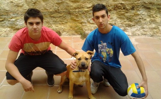 yo y un amigo con mi perra hace dos semanaas con 8 meses yo y un amigo con mi perra hace dos semanaas con 8 meses