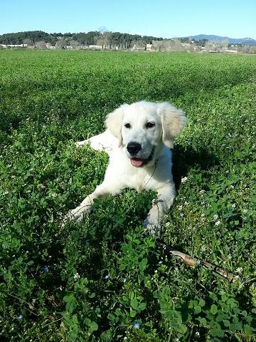 Nora con 5 meses