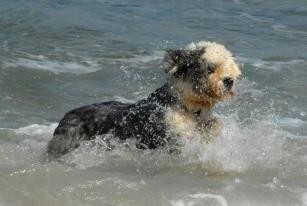 Me lo paso bomba en el mar!!
