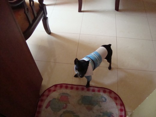 don crack 