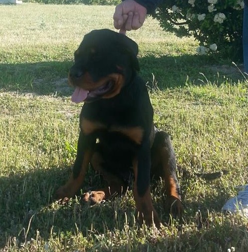 Con tres meses Con tres meses