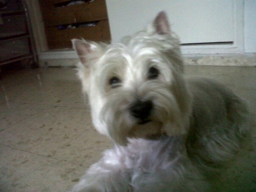 mi gordota presiosa!!! mi gordota presiosa!!!