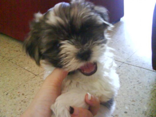 yeeiikoo <3 yeeiikoo <3