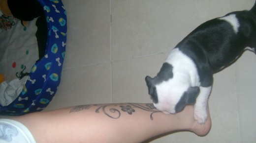 al atake del pieee!!! gggrrrrr jajaja al atake del pieee!!! gggrrrrr jajaja