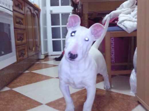beyonce 4 meses. beyonce 4 meses.