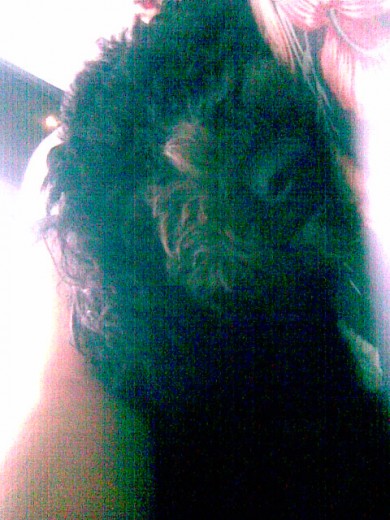 blacky acostada
blacky acostada