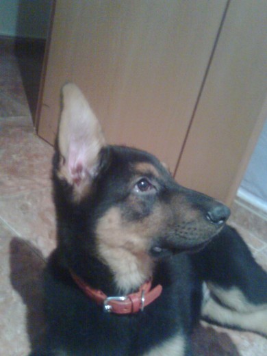 Tarik con 3 meses Tarik con 3 meses