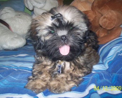 acá ya tengo 3 meses! acá ya tengo 3 meses!