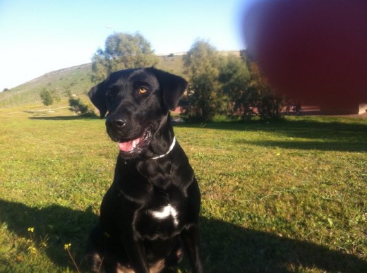 ella es mi niña