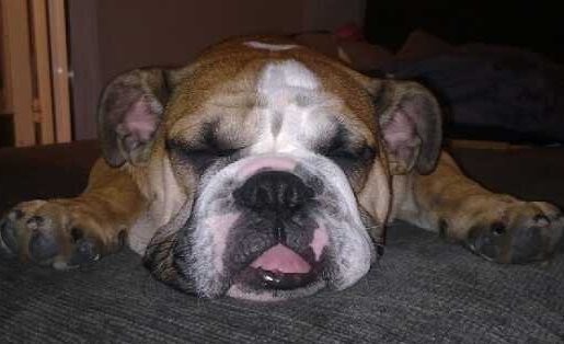 Mi niño durmiendo!!! Mi niño durmiendo!!!