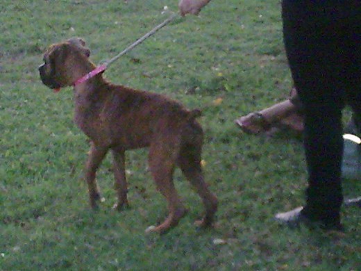 PELOTA, PELOTA, NIÑO, NIÑO, PELOTA, :)