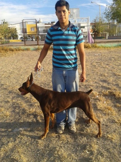 aqui coco y yo paseando