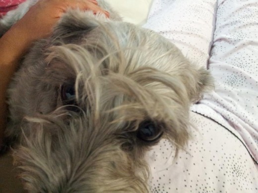 MI yumi aaahhh la adoro º3º MI yumi aaahhh la adoro º3º