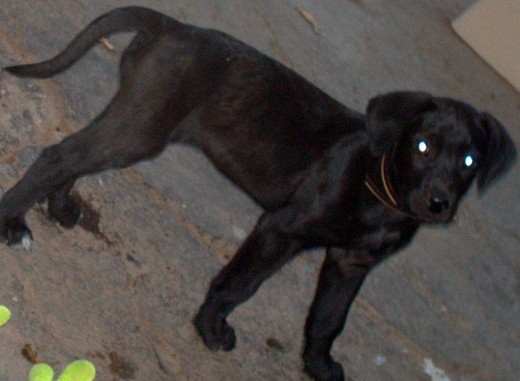 Ahy estaba más pekeña unos dos meses y estaba de noche. Ahy estaba más pekeña unos dos meses y estaba de noche.