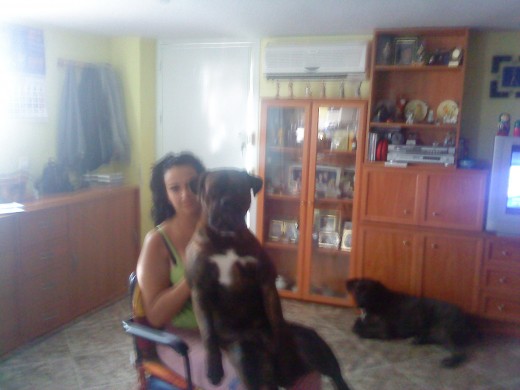 sentadito sentadito
