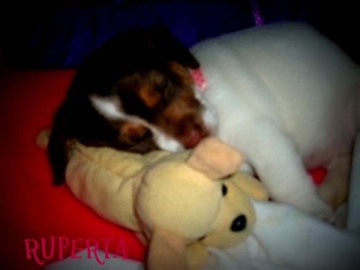 Durmiendo con su hermanito teddy!