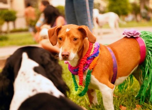 En la fiesta de su amiguita Mía, tema: Hawaii.