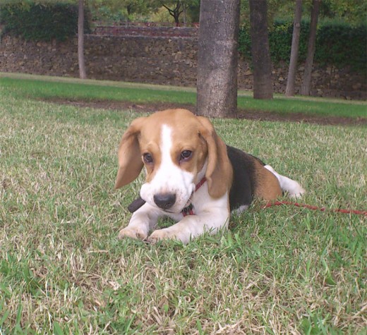Mi chiquitina. Mi chiquitina.