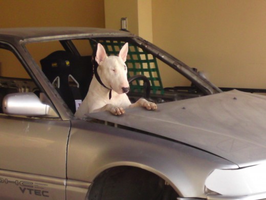 Mi Hijo cuidando el carro de carreras de Papa
