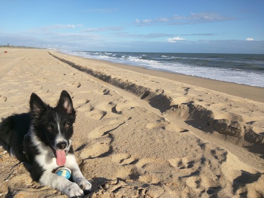 En la playa con mi pelota.