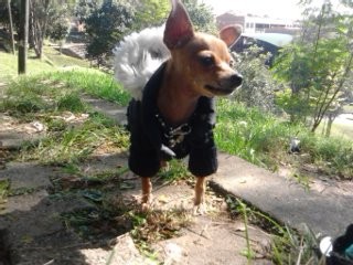 TODA UNA DIVA! TODA UNA DIVA!