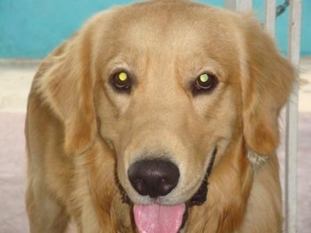 HOLA SOY BOSTONN TENGO 15 AÑOS DE EDAD... SOY DE PUNTO FIJO BUSCO NOVIA PARA MI PRIMERA CITA :) HOLA SOY BOSTONN TENGO 15 AÑOS DE EDAD... SOY DE PUNTO FIJO BUSCO NOVIA PARA MI PRIMERA CITA :)