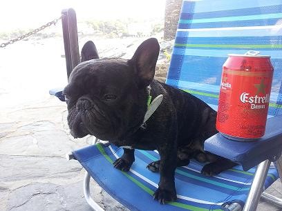 Se pega la vida padre...Birrita, relax y playita, jajaja!!
Es increible y su caracter....único!!!