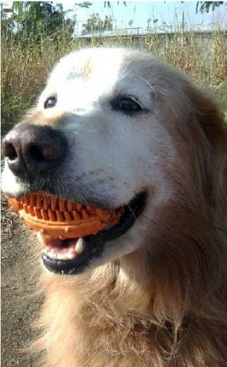 Jugando con mi pelota!