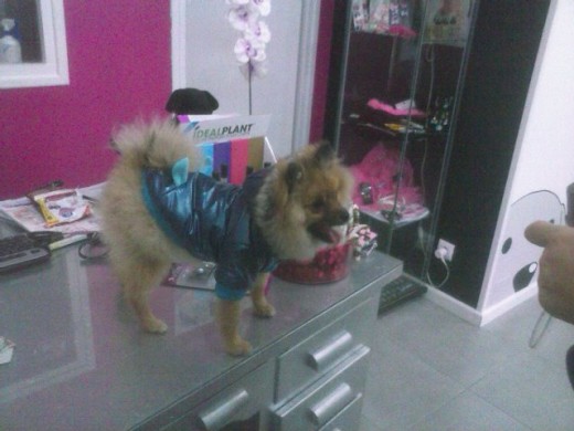 con su nuevo abrigo con su nuevo abrigo