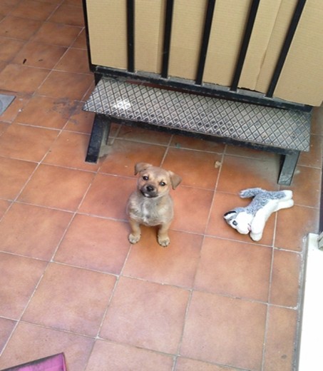 Selva con su peluche Selva con su peluche
