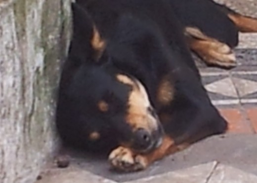 bomboncita durmiendo!! bomboncita durmiendo!!