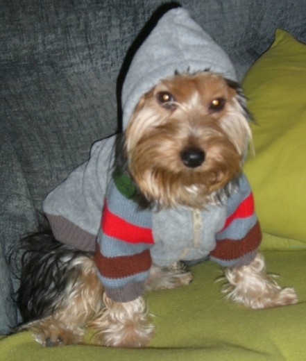 Soy un poco friolero y en invierno hay que ponerse algo de ropa para salir a la calle. Soy un poco friolero y en invierno hay que ponerse algo de ropa para salir a la calle.