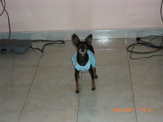 bella!! :D bella!! :D