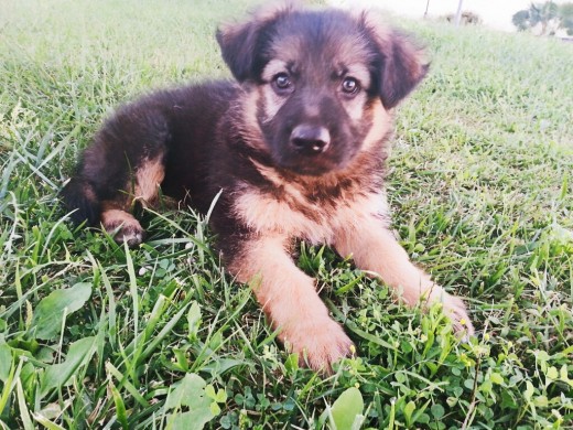 2 meses 2 meses