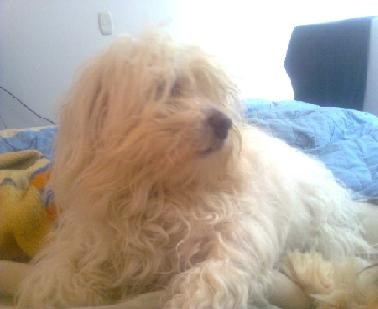 EN LA CAMA DE MI MAMITA!!!